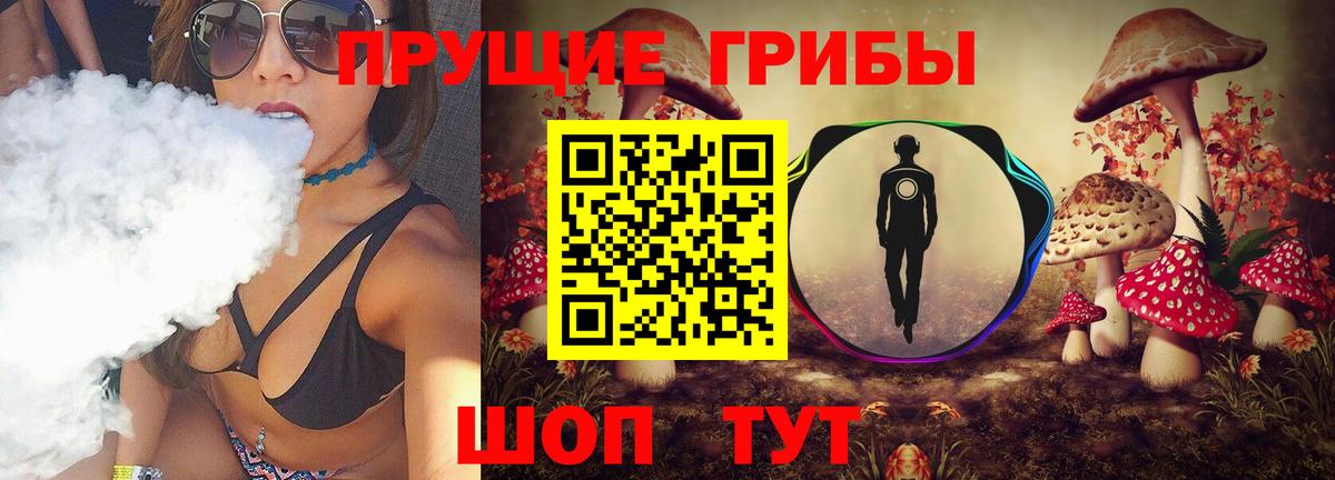 Шарыпово  Псилоцибиновые грибы прущие грибы  Вход с VPN 